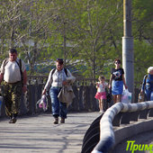 Лето в городе