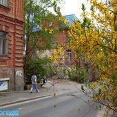 Лето в городе
