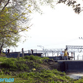 Лето в городе