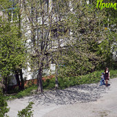 Лето в городе