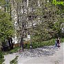 Лето в городе