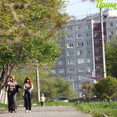 Лето в городе