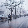 В минувшую субботу во Владивостоке прошел небольшой снег