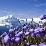 Температура атмосферы за последние 100 лет выросла на 0,74 градуса