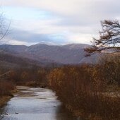 Октябрь в Сихотэ-Алинском заповеднике – время листопада