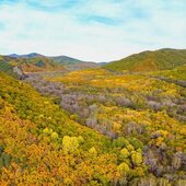 Октябрь в Сихотэ-Алинском заповеднике – время листопада