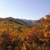 Октябрь в Сихотэ-Алинском заповеднике – время листопада