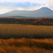 Октябрь в Сихотэ-Алинском заповеднике – время листопада