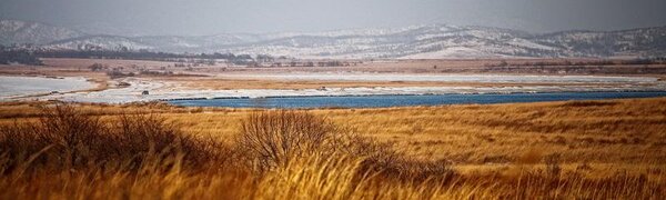 Пик похолодания в Приморье придётся на середину недели