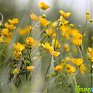 Вчера во Владивостоке было +23.2°C