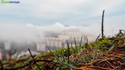 Прогноз погоды на вторую неделю сентября в Приморье озвучен синоптиками