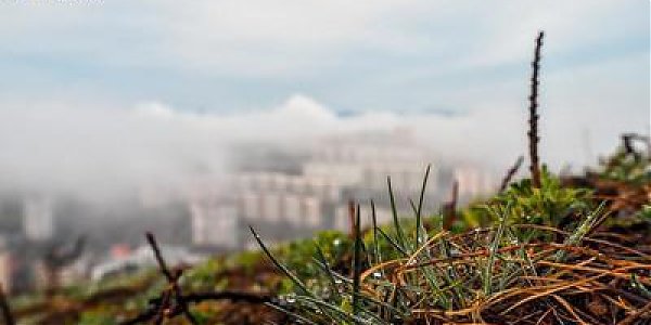 Прогноз погоды на вторую неделю сентября в Приморье озвучен синоптиками