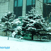 Зима окутала Владивосток (ФОТО)