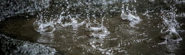 За выходные в Приморье выпало до двух месячных норм осадков
