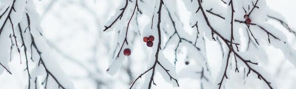 За сутки в Приморье выпало до 1,8 месячной нормы осадков