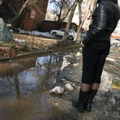 Во Владивостоке снова тепло (ФОТО)