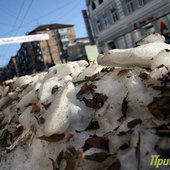 Во Владивостоке снова тепло (ФОТО)