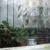 Во Владивостоке снова тепло (ФОТО)