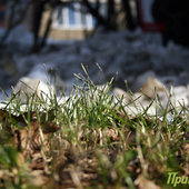 Во Владивостоке снова тепло (ФОТО)