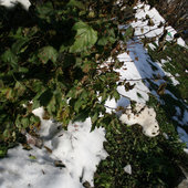 Во Владивостоке снова тепло (ФОТО)