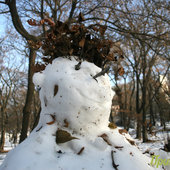 Во Владивостоке снова тепло (ФОТО)