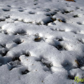 Во Владивостоке снова тепло (ФОТО)