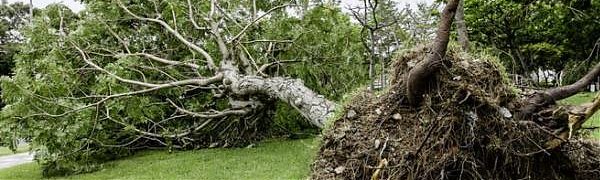 В Хабаровском крае готовятся к приходу тайфуна «Гони»