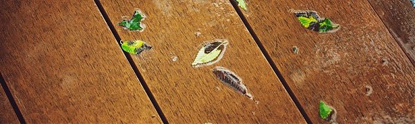 Ночью в Приморье прошли дожди и похолодало до +2 °С