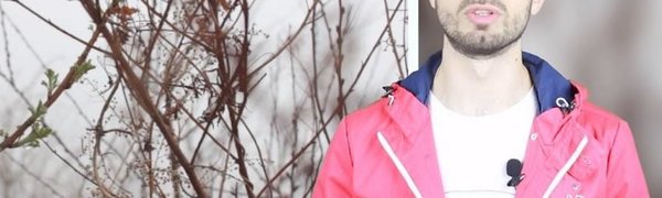 Погода в Приморье на выходных (ВИДЕО)