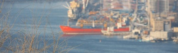 Чем дышал Владивосток с 20 по 28 февраля?