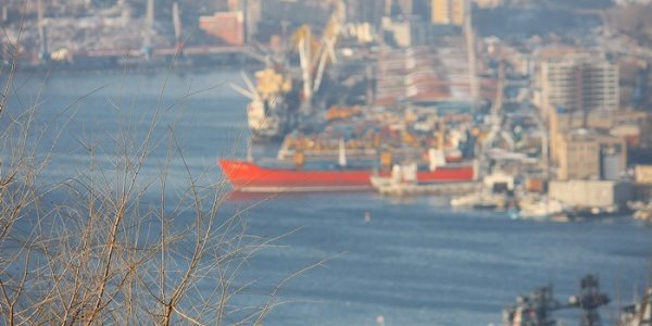 Чем дышал Владивосток с 20 по 28 февраля?
