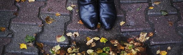 Температура воздуха в Приморье выше нормы на 3 — 8 градусов