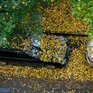 Волна тепла идёт на смену предзимним холодам в Приморье