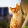 В выходные воздух в Приморье прогреется до +23°C