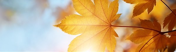 Сентябрь-2015 стал самым теплым в истории наблюдений в Северном полушарии