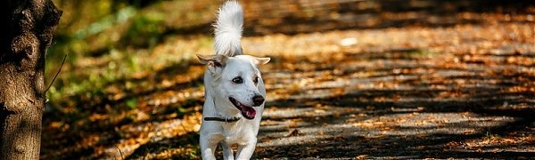 Температура воздуха в Приморье приблизилась к климатической норме