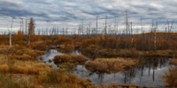 Осеннее тепло октября. Каким оказался этот месяц в Приморье