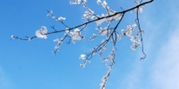 Со второй половины недели в Приморье значительно потеплеет