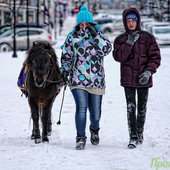 Первый декабрьский снег