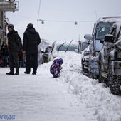 Первый декабрьский снег