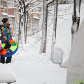 Первый декабрьский снег