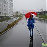 До конца рабочей недели в Приморье сохранится дождливая погода