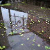 До конца рабочей недели в Приморье сохранится дождливая погода