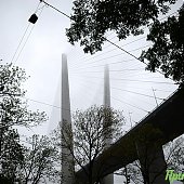 До конца рабочей недели в Приморье сохранится дождливая погода