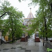 До конца рабочей недели в Приморье сохранится дождливая погода