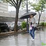 До конца рабочей недели в Приморье сохранится дождливая погода