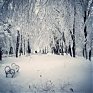 Выходные принесли снег в Приморье
