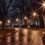Ночная иллюминация загрязняет городской воздух 