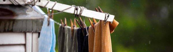 Выходные дни в Приморье будут дождливыми