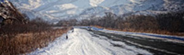 Погодные графики: Январь в числах